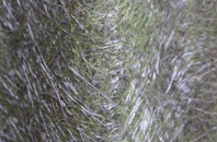 Whitechapel fibreglass roof work